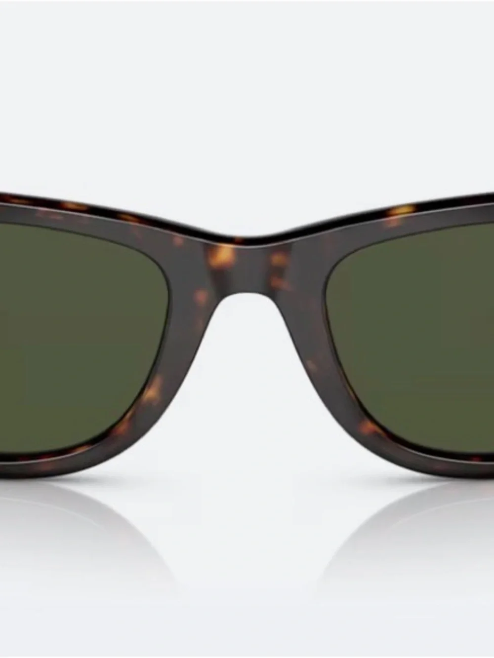 Ray-Ban iconic wayfarer